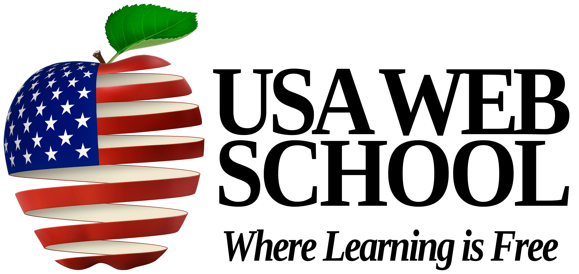USA Web School Logo